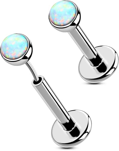 OUFER 2PCS 16G/20G Nose Lip Studs, G23 Solid Titanium Threadless Push in Nose Nostril Lip Labret Medusa Monroe Helix Cartilage Tragus Conch Lobe Piercing Jewelry for Women Men