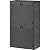YITAHOME 60 cu ft Tall Outdoor Storage Shed w/o Shelf, Resin Vertical Outdoor Storage Shed, Large Waterproof Storage Cabinet for Garage, Poolside, and Garden (Dark Gray + Black)