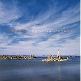 メディテーション