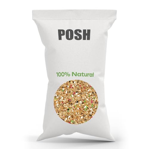 10 kg de nourriture pour perroquets de grande taille, sans sucre, avec arachides, graines de citrouille, tournesol rayé et blanc, caroube – Pour aras,...