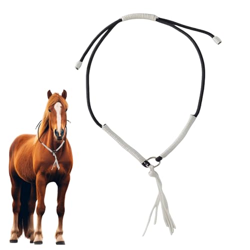 Xvilmaun EFX^ j - np񃍁[v - ^bZt p  ^ W Xe[W Rʐ^ Ή