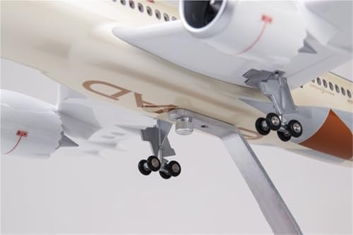Modelo de avión a escala Etihad 787 de 43cm con luces para evitar maquetas sin realismo 4