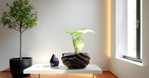 Image of Lasaki Hand Ceramic Pots for Indoor Plants, Planters, Flower Pot Living Room Home Decor Office Tabletop Desk Garden (Color: Black)(Plants not Included)