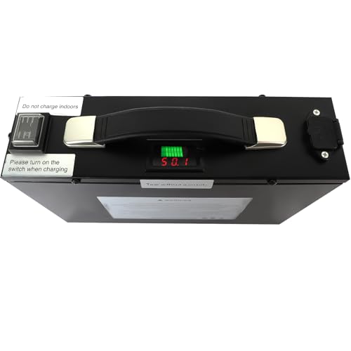 Batería para Carretillas Eléctricas RXFSP con Cargador miniatura 3