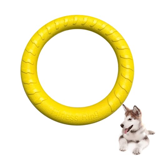 JINRETUTE Fly Ring Toy Fitness Ring Floating Flying Disc Toys Outdoor Durable Chew Toys for Training Playing Puppy Medium Large Dogs (D28)