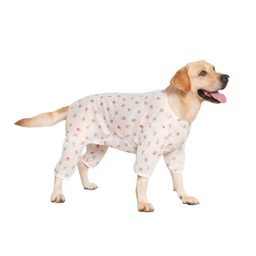 [Rjktmox]ypJo[I[ ėpN[ ^p UVJbg h іh~ tBbg tďH  o fUC