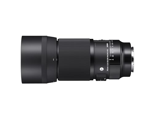 Sigma – Obiettivo 105 mm F2.8 DG DN Macro Art, Attacco E-Mount (SE System) Mirrorless - 2