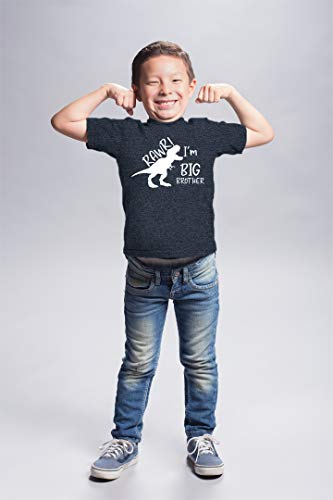 rawr im Big Brother Shirt Dinosaur Toddler boy Tshirt Dino Announcement ouotfit.4