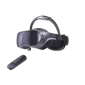DPVR P2 All in One Virtual Reality Headset,VR Headset with 3DoF Controller – Ideal for Arcades, Education, Corporate & Medical Training, Not for Personal User and VR Games