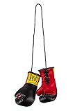 BENLEE Rocky Marciano Unisex-Adult Mini Miniature Boxing Gloves, Weiss, one Size