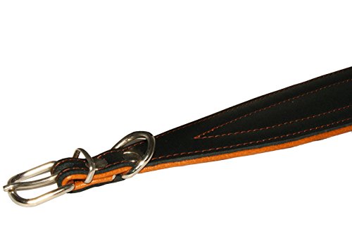 Dogs My Love Z-522, Z-523, Z-524, Z-525, Z-526, Z-527 Real Leather Extra Wide Padded Tapered Dog Collar Glossy Black Greyhound Saluki Deerhound Lurcher Whippet Dachshund  thumb #2