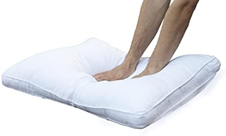 Mulberry Silk Filled Pillow 2 Pack, Extra Soft Bed Standard Pillows 1000 grams Silk Pillow for Sleeping, Super Soft Pillows for Bed to Relief Neck and Shoulder Pain