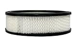 ACDelco A773C Professional Air Filter