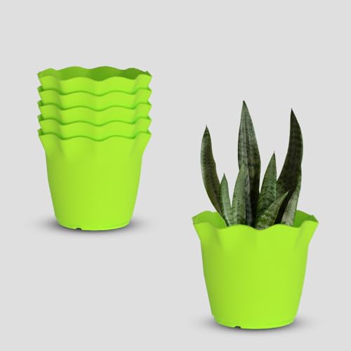 Image of YUCCABE ITALIA SHERA 8 Inch Plastic Flower Pot 6 Piece Set of Unbreakable Round Shape Planter for Home Garden Seedling, Indoor and Outdoor (Green)