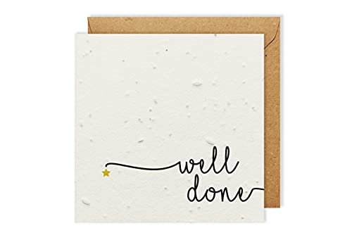 Stella piantabile biodegradabile ecologica del