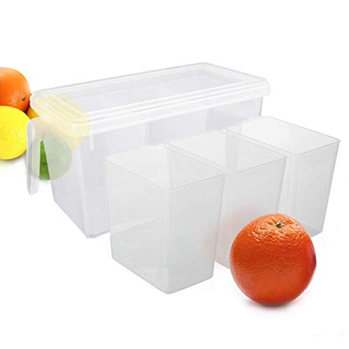 GLIVE (LABEL) Kitchen Refrigerator Plastic Food Storage Boxes Containers Vegetables Fruit with Lids Kitchen Accessories (1)