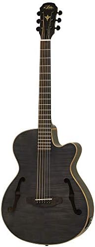 Amazon | ARIA FET-F2 Stained Brown エレクトリックアコースティック 