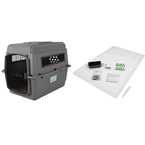Petmate Sky Kennel Pet Carrier (32 Inch) and Petmate 290300 Kennel Travel Kit