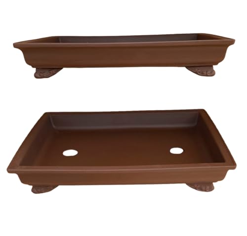 Genérico Maceta Bonsai Ceramica Rectangular 30.5x22x5.3 cm | Macetero Grande Hecho en Japón | Maceta para Bonsai con Agujero de Drenaje | Tiesto de Cerámica | Árbol no Incluido (Pequeño)