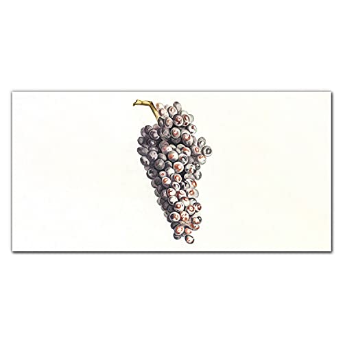 Tableau sur toile 140x70cm Raies de fruits pour la décoration murale d'intérieur