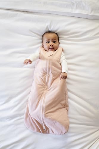 Image of Ely's & Co. Winter Sleep Sack, Wearable Blanket with Soft Quilting, Transitional Swaddle for Baby Boy /Girl, 1.0 TOG