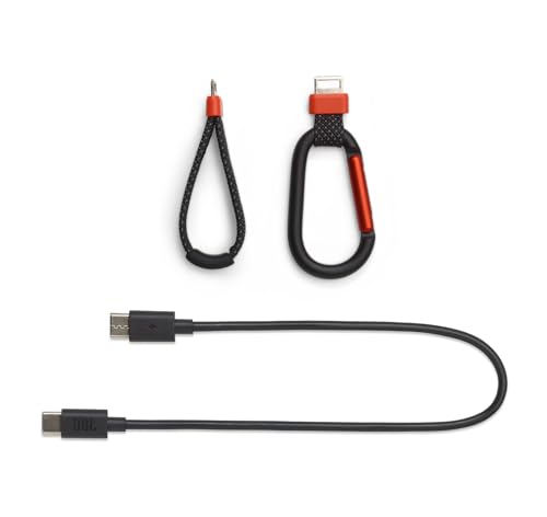 Image of JBL Flip 7 (Black) + Bundle with USB-C Braided Cable