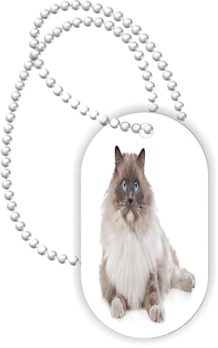 Island Gifting - Fluffy Ragdoor Cat Sitting - Aluminum Dog Tag Necklace Pendant with Ball Chain
