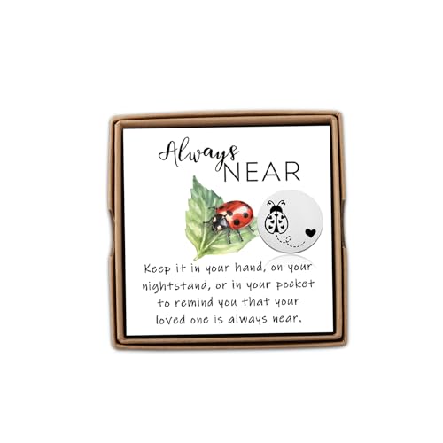 CENWA Loss of A Loved One Ladybug Memorial Gift - Ladybug Token & Wish Jewelry
