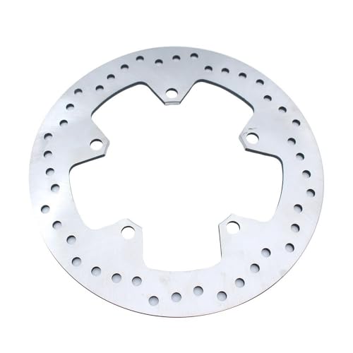 Rotor de disque de frein moto résolvant les vibrations sur G310R