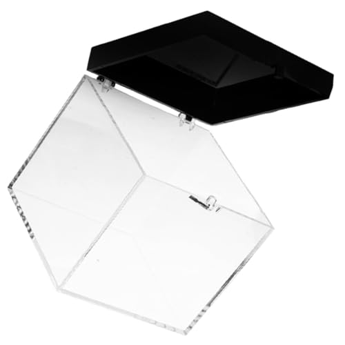 RORPOIR Caja Transparente para Minerales de Plástico, Contenedor de Exhibición y Protección, Fácil de Almacenar, Adecuado para Muestras y Colecciones de Escritorio