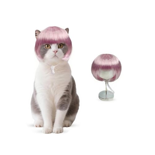 ybgEBbO  L ybgp Xq 蕨   L nEB Jc p[} At ObY ϑ ϐg Be o| U EȒP ʔ ڂɗ ΂  RXv  (sN)