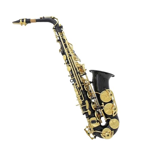 �A���g�T�b�N�X Eb E �t���b�g�^�J���h��S�[���h���T�b�N�X�P�[�X��ܖ؊Ǌy��A�N�Z�T���[