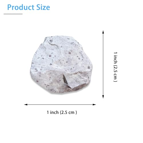 Image of Andesite Rock Specimens (10 Pieces) - Metamorphic Rocks for Science Classrooms - Geologist Selected & Hand Processed - Class Pack, Education Collection