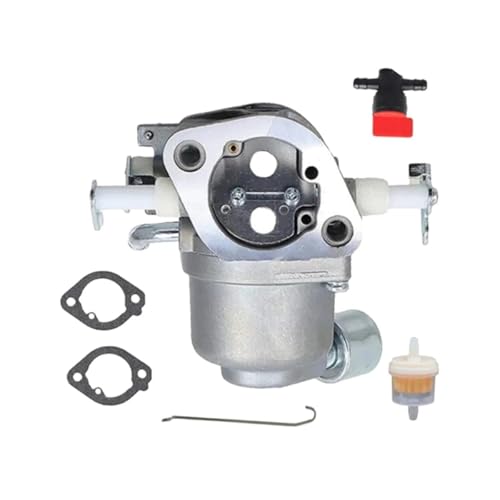 Carburateur pour BS Intek 594207 avec son jeu de joints complet - 2