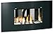 Produktbild Gel & Ethanol Kamin Kaminofen Ethanolkamin Gelkamin mit gebogener Glasfront Olympus D schwarz