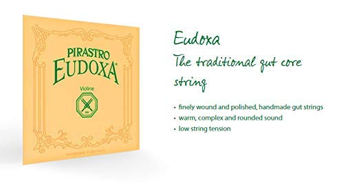 Amazon.co.jp: PIRASTRO EUDOXA 214341 バイオリン弦 オイドクサ D線