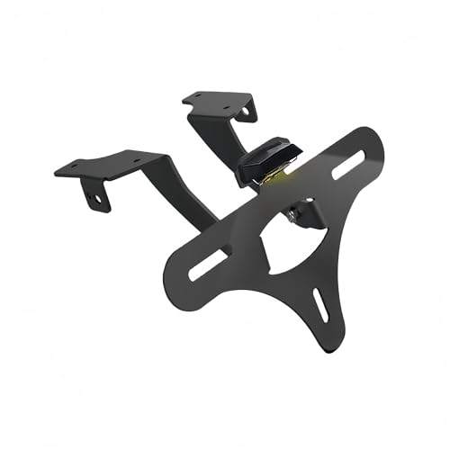 Support de plaque d'immatriculation pour moto CFMOTO 450 MT ajusté