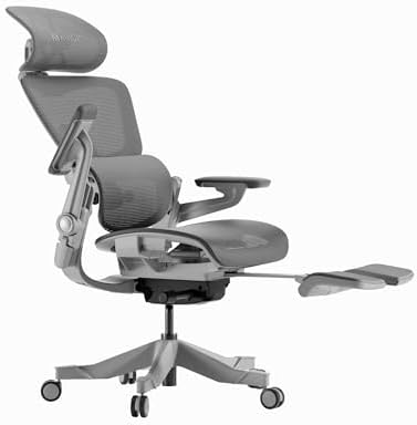 HINOMI H1 Pro V2 Ergonomic Office Chair with Footrest, Mesh Computer Chair for Home, Office, Gaming, Study (Grey, Standard)