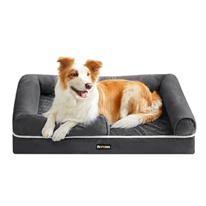 Feandrea Orthopädisches Hundebett, Hundekissen, Hundekorb, weiche Polsterung, Hundesofa, erhöhte Ränder, Bezug abnehmbar und waschbar, 91 x 71 x 20 cm, rutschfeste Unterseite, dunkelgrau PGW076G01