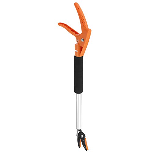 Conception à bras long Karlak pour récolter le raisin en hauteur sans risquer de tomber - 4