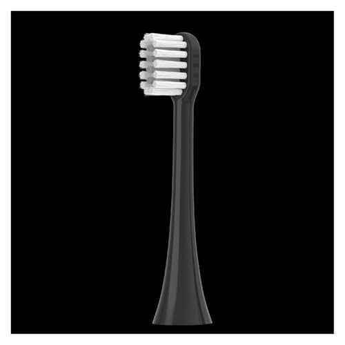 Lohmann �d�����u���V T3/T5/T6/T10S/E7/s3/T20/P6 �����p�u���V�w�b�h(�u���b�N�z���C�g�O���[�t�@�[)�ɑΉ�