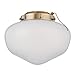 Westinghouse Lighting 7784400 LED Schoolhouse Indoor/Outdoor Energy Star Ceiling Fan Light Kit, Polished Brass Finish with White Opal Glass