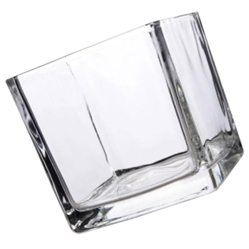 Vase transparent pour branches et succulentes décor de table moderne - 2