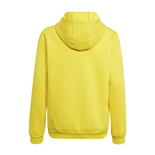 Adidas ENTRADA 22 Sweat, Felpa con Cappuccio