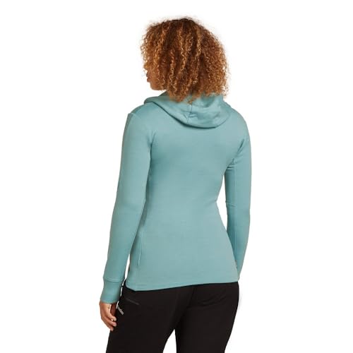 icebreaker Women Merino 260 Quantum Ls Zip Hoodie2