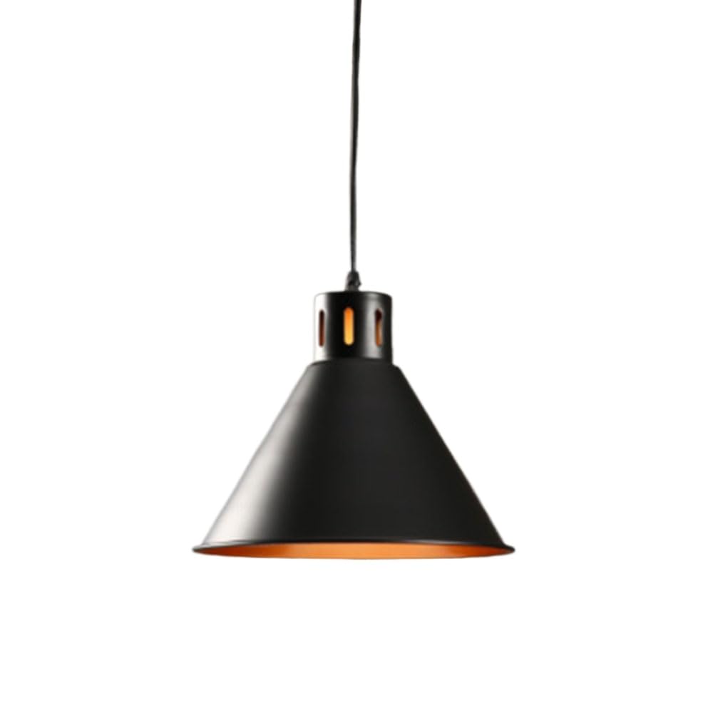 Lampes suspendues industrielles E27 plafonnier noir une tête