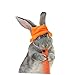 Happyyami Mini Pet Hat for Small Animals Bunny Costume Accessory Easy to Wear Durable Felt Material for Photoshoots Cosplay Parties and Holiday Celebrations