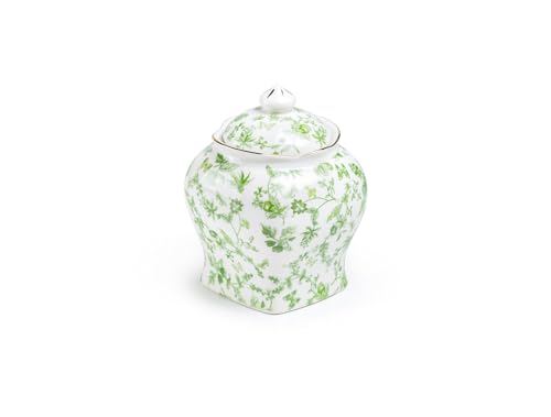 Gracie China Shop Greeny Garden 6.5-inch Tall Medium Size Fine Porcelain Canister with Silicone Seal, Capacity 34oz, Storing Tea Coffee Sugar Dry Goods, Spring Storage Home Decor