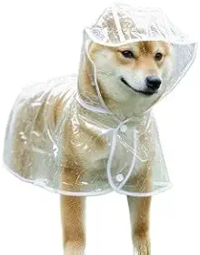 Roupas para Cães, Capa de Chuva Pet Impermeável Proteção Cachorro Grande Médio Pequeno Porte Passeio Chuva(Azul transparente,L)