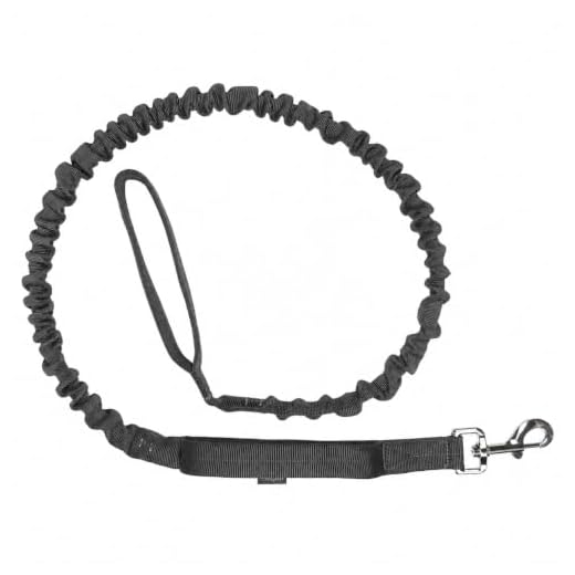 Church Products UK Trainingsleine, 2,4 m, Polizei-Stil, Gehorsamkeit, multifunktionale Hundeleine, 20 mm, gepolstertes Gurtband, Schwarz, 2,4 m lang 4 Leisegrün Elastische Hundeleine | Führleine für Hunde aus Nylon mit Kurzführer & Ruckdämpfer | Länge 130 cm bis 200 cm | Schwarz